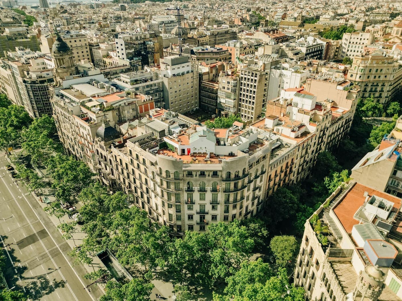 Manzana del Eixample con su chaflán y la calle arbolada, vista desde arriba